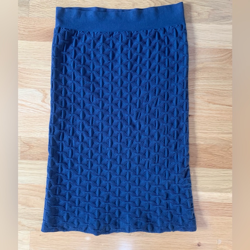 Tees by Tina-Sophisticated Crinkle Skirt by Tina Stevens Group, Navy, One size.